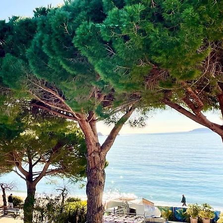 Appartement Les Pieds Dans L'Eau A Cavaliere لو لا فاندو المظهر الخارجي الصورة